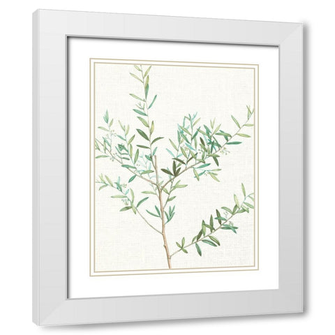 Branch 2 White Modern Wood Framed Art Print with Double Matting by Allen, Kimberly