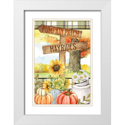 Pumpkin Patch White Modern Wood Framed Art Print with Double Matting by Allen, Kimberly