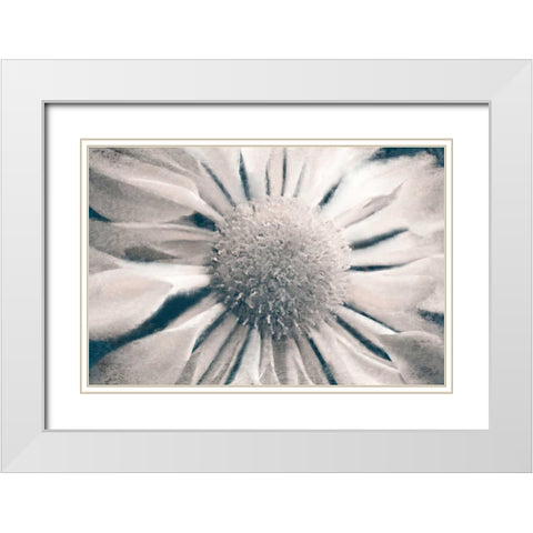 Marguerite White Modern Wood Framed Art Print with Double Matting by Allen, Kimberly