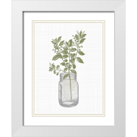 Jar Herbs 2 White Modern Wood Framed Art Print with Double Matting by Allen, Kimberly