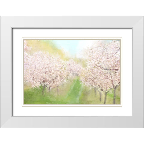 Springtime Farm White Modern Wood Framed Art Print with Double Matting by Allen, Kimberly