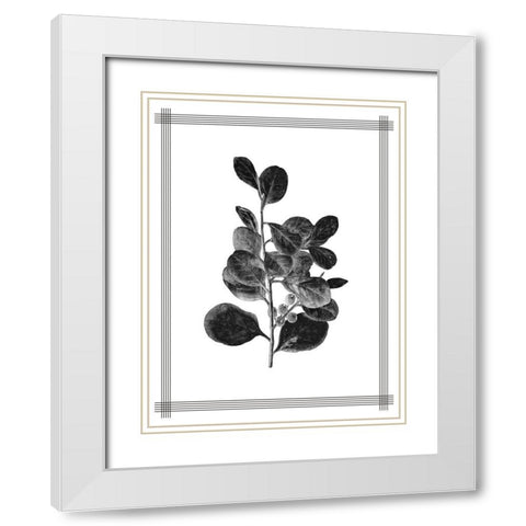 Pressed 1 White Modern Wood Framed Art Print with Double Matting by Allen, Kimberly