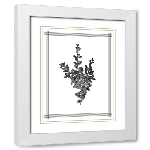 Pressed 4 White Modern Wood Framed Art Print with Double Matting by Allen, Kimberly