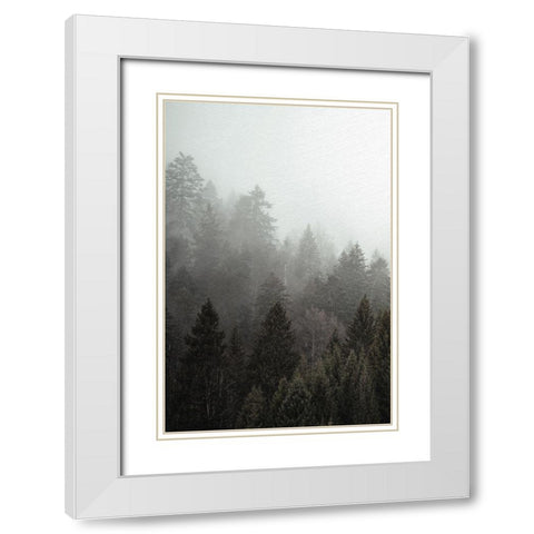 Mist 1 White Modern Wood Framed Art Print with Double Matting by Allen, Kimberly