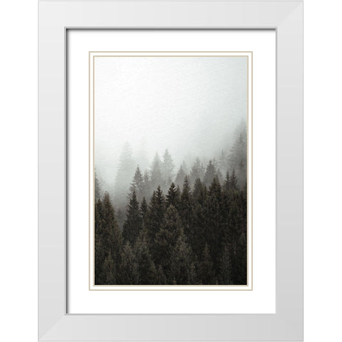 Mist 2 White Modern Wood Framed Art Print with Double Matting by Allen, Kimberly