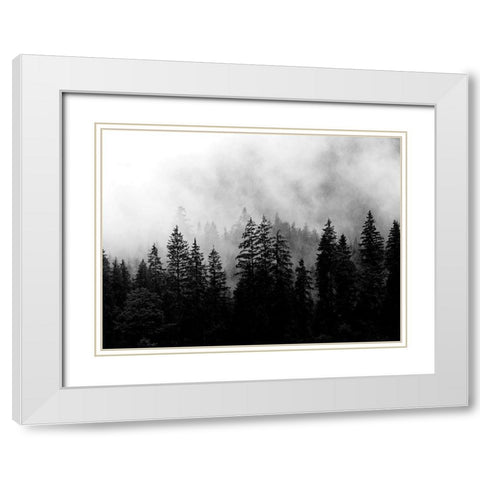 Foggy Morning White Modern Wood Framed Art Print with Double Matting by Allen, Kimberly