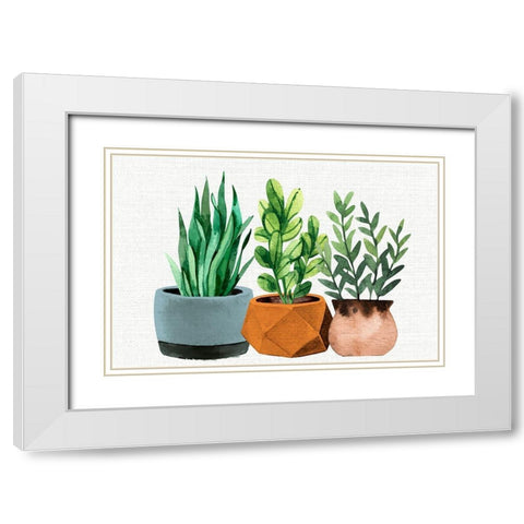 Potted Plants White Modern Wood Framed Art Print with Double Matting by Allen, Kimberly