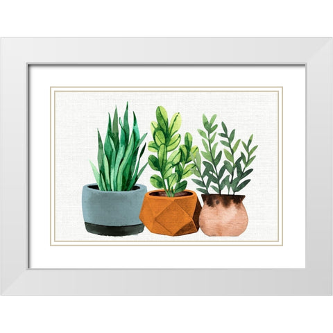 Potted Plants White Modern Wood Framed Art Print with Double Matting by Allen, Kimberly
