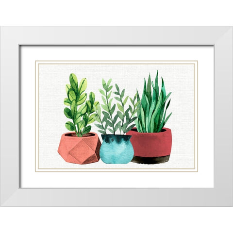 Summer Pots White Modern Wood Framed Art Print with Double Matting by Allen, Kimberly