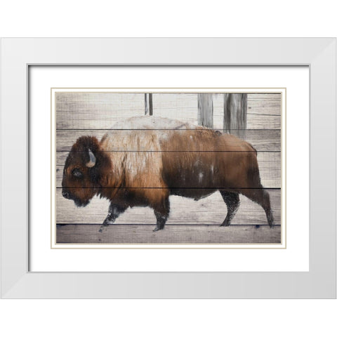 Winter Bison White Modern Wood Framed Art Print with Double Matting by Allen, Kimberly