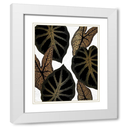 Tropical Black 2 White Modern Wood Framed Art Print with Double Matting by Allen, Kimberly