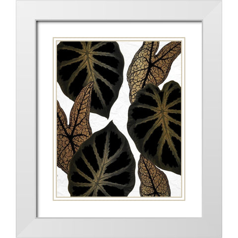 Tropical Black 2 White Modern Wood Framed Art Print with Double Matting by Allen, Kimberly
