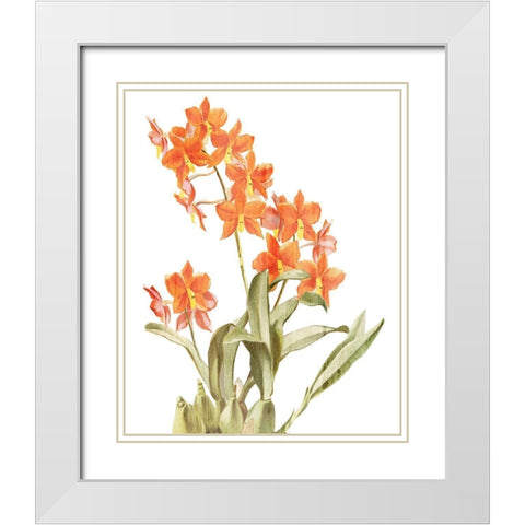 Orchid Love 2 White Modern Wood Framed Art Print with Double Matting by Kimberly, Allen