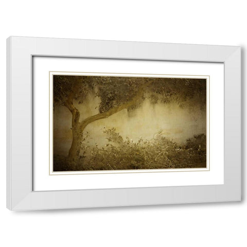 Olive Tree White Modern Wood Framed Art Print with Double Matting by Allen, Kimberly