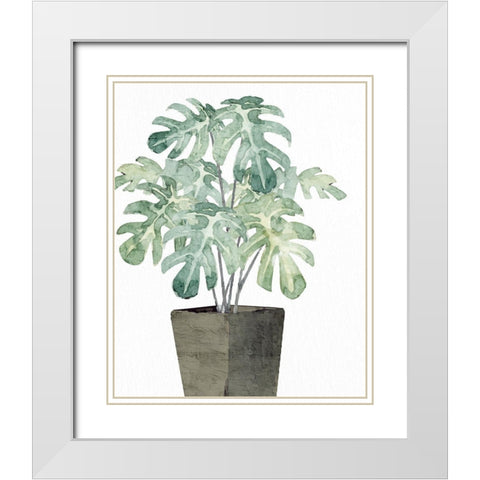 Olive Pot 1 White Modern Wood Framed Art Print with Double Matting by Allen, Kimberly