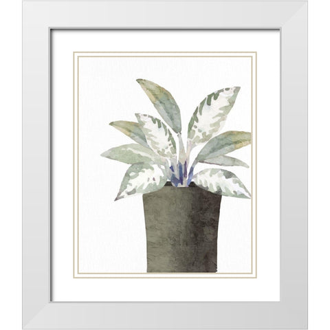 Olive Pot 2 White Modern Wood Framed Art Print with Double Matting by Allen, Kimberly