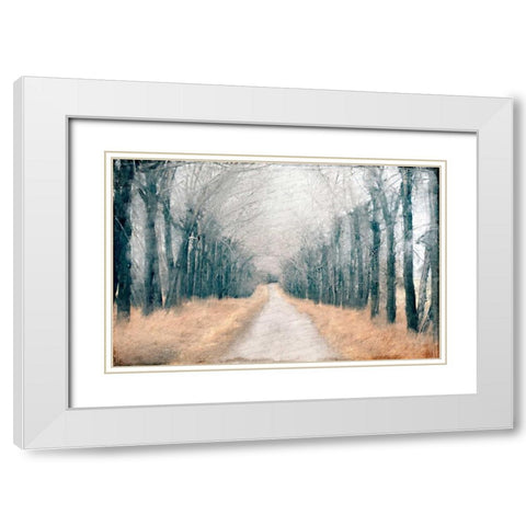 Pathway in the Mist White Modern Wood Framed Art Print with Double Matting by Allen, Kimberly