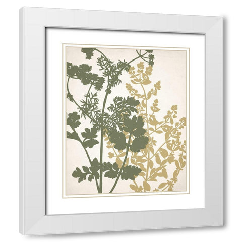 Botanical Spread 1 White Modern Wood Framed Art Print with Double Matting by Allen, Kimberly