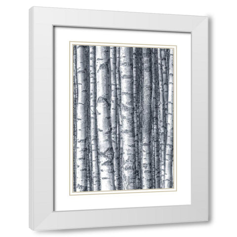 Birches 1 White Modern Wood Framed Art Print with Double Matting by Allen, Kimberly