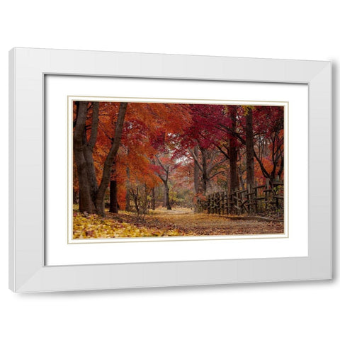 Autumn Stroll White Modern Wood Framed Art Print with Double Matting by Allen, Kimberly