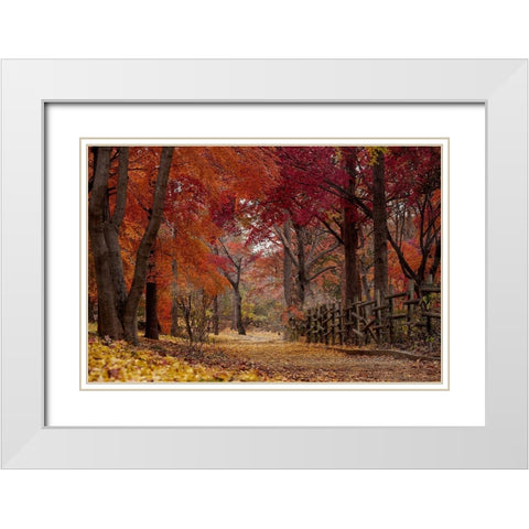 Autumn Stroll White Modern Wood Framed Art Print with Double Matting by Allen, Kimberly