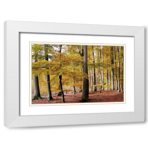 Autumn Walk White Modern Wood Framed Art Print with Double Matting by Allen, Kimberly