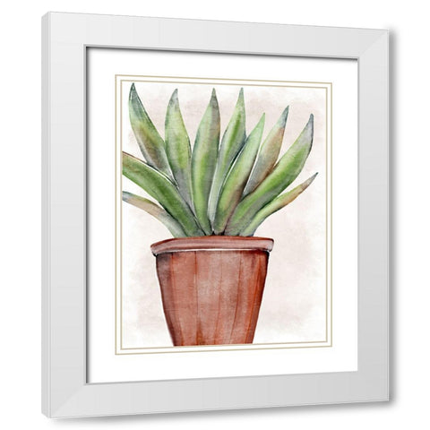 Succulent Plant 1 White Modern Wood Framed Art Print with Double Matting by Allen, Kimberly