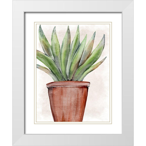 Succulent Plant 1 White Modern Wood Framed Art Print with Double Matting by Allen, Kimberly