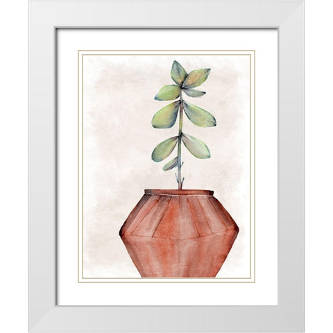 Succulent Plant 2 White Modern Wood Framed Art Print with Double Matting by Allen, Kimberly