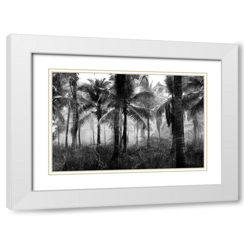 Palms Black And White White Modern Wood Framed Art Print with Double Matting by Allen, Kimberly