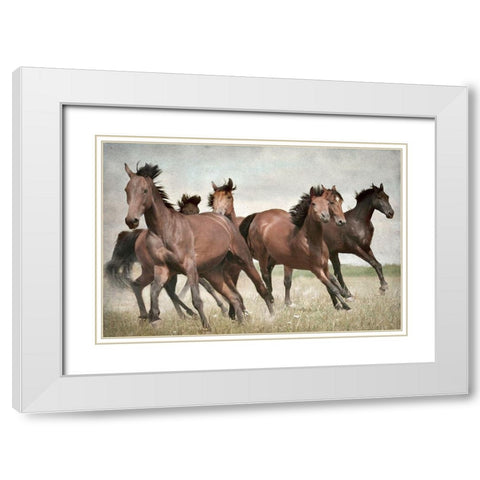 Running Wild Horses White Modern Wood Framed Art Print with Double Matting by Allen, Kimberly