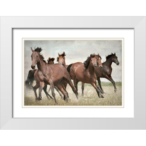 Running Wild Horses White Modern Wood Framed Art Print with Double Matting by Allen, Kimberly