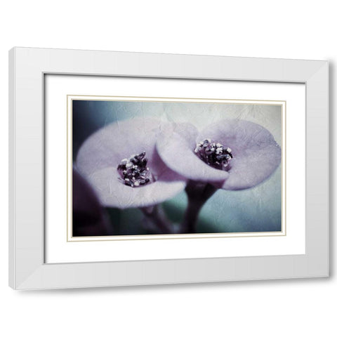 My View White Modern Wood Framed Art Print with Double Matting by Allen, Kimberly