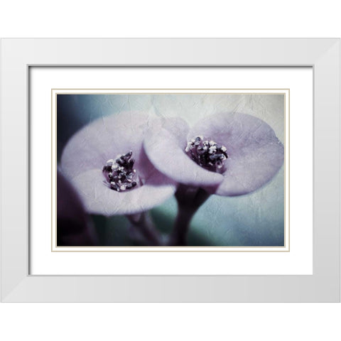 My View White Modern Wood Framed Art Print with Double Matting by Allen, Kimberly