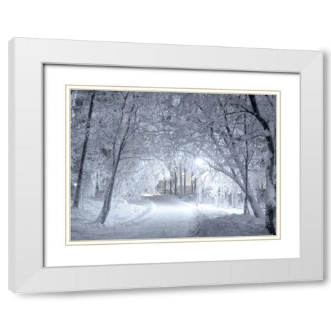 Winter Path White Modern Wood Framed Art Print with Double Matting by Allen, Kimberly