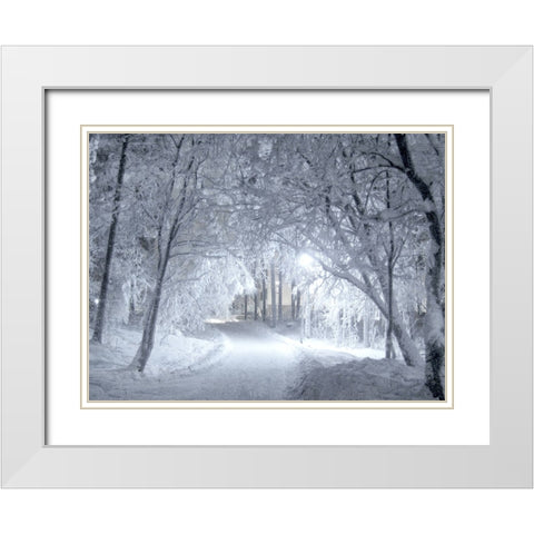 Winter Path White Modern Wood Framed Art Print with Double Matting by Allen, Kimberly