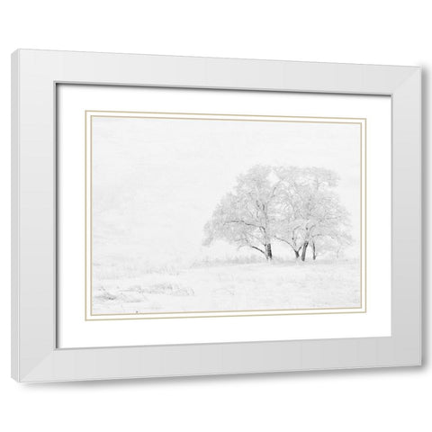 Winter White White Modern Wood Framed Art Print with Double Matting by Allen, Kimberly