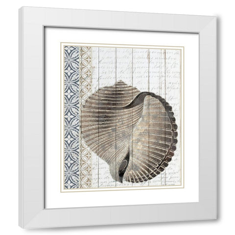 Shells 1 White Modern Wood Framed Art Print with Double Matting by Allen, Kimberly