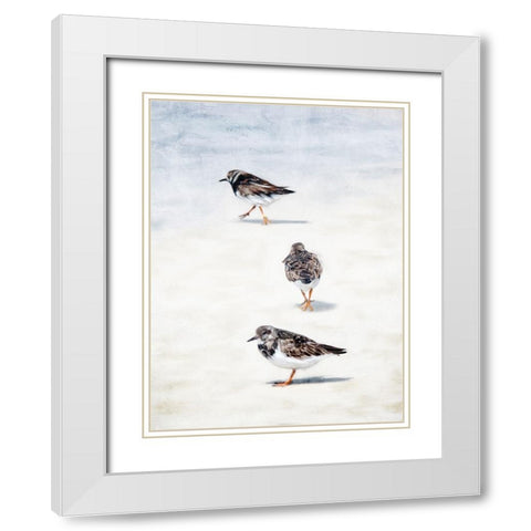 Sandpiper Beach White Modern Wood Framed Art Print with Double Matting by Allen, Kimberly