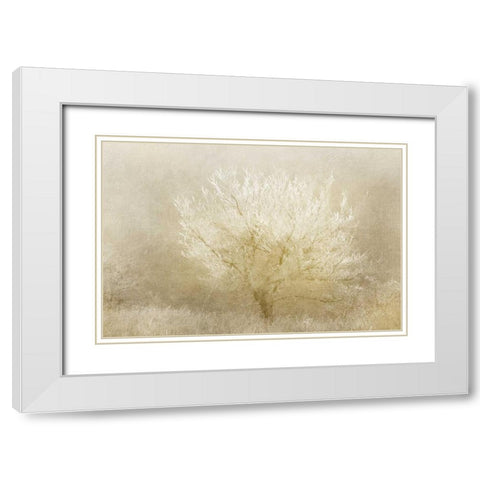 Dreaming Tree White Modern Wood Framed Art Print with Double Matting by Allen, Kimberly
