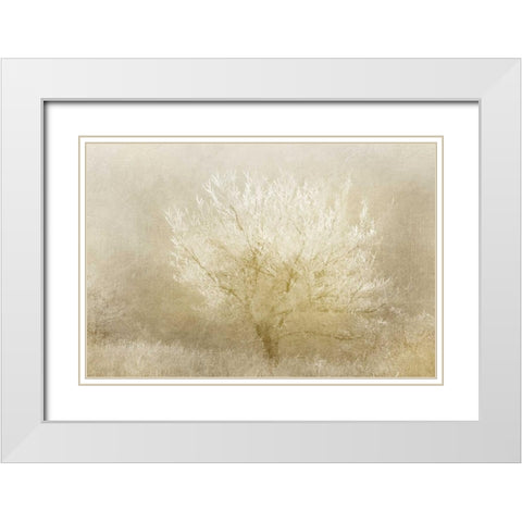 Dreaming Tree White Modern Wood Framed Art Print with Double Matting by Allen, Kimberly