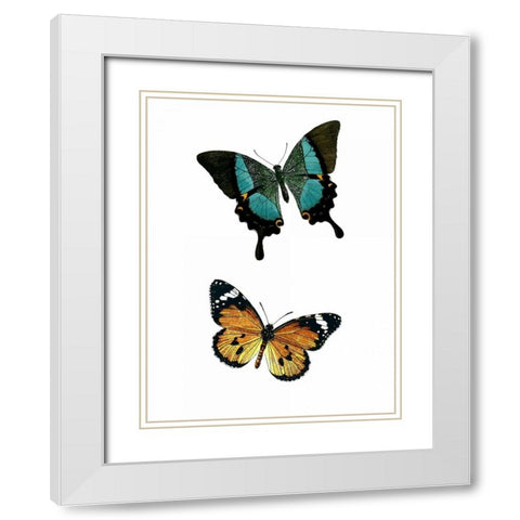Fly Free 2 White Modern Wood Framed Art Print with Double Matting by Allen, Kimberly