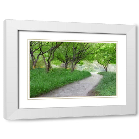 Along the Path White Modern Wood Framed Art Print with Double Matting by Allen, Kimberly