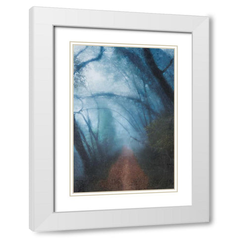Forest Blues White Modern Wood Framed Art Print with Double Matting by Allen, Kimberly