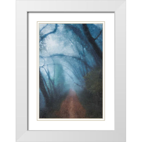 Forest Blues White Modern Wood Framed Art Print with Double Matting by Allen, Kimberly