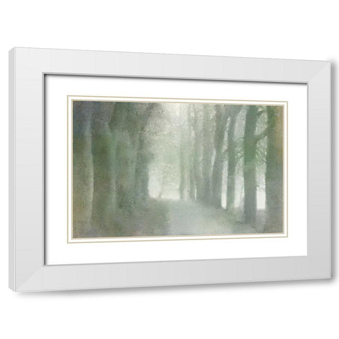 Natural Walkway White Modern Wood Framed Art Print with Double Matting by Allen, Kimberly