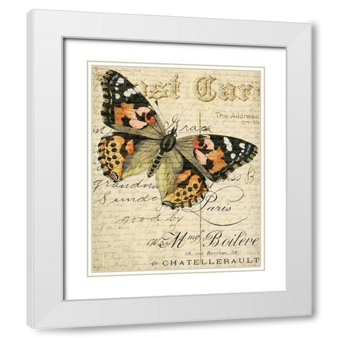 Postcard Butterfly 2 White Modern Wood Framed Art Print with Double Matting by Allen, Kimberly