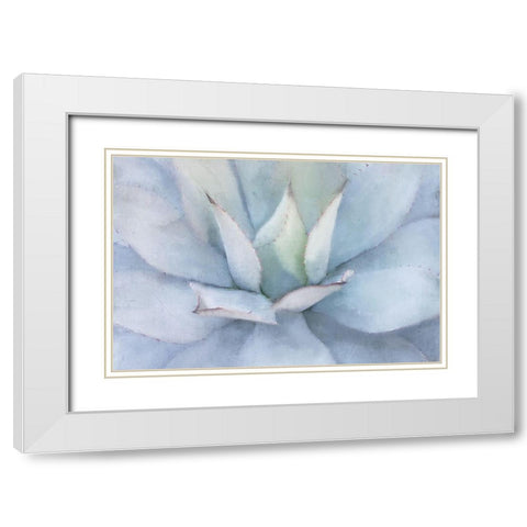 Serene Succulent White Modern Wood Framed Art Print with Double Matting by Allen, Kimberly