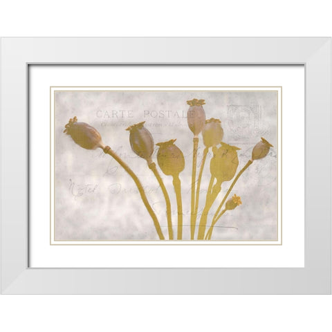 Poppy Buds White Modern Wood Framed Art Print with Double Matting by Kimberly, Allen