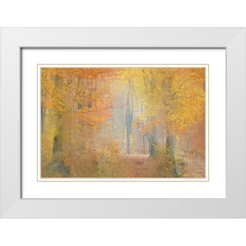 Colors of Autumn White Modern Wood Framed Art Print with Double Matting by Kimberly, Allen